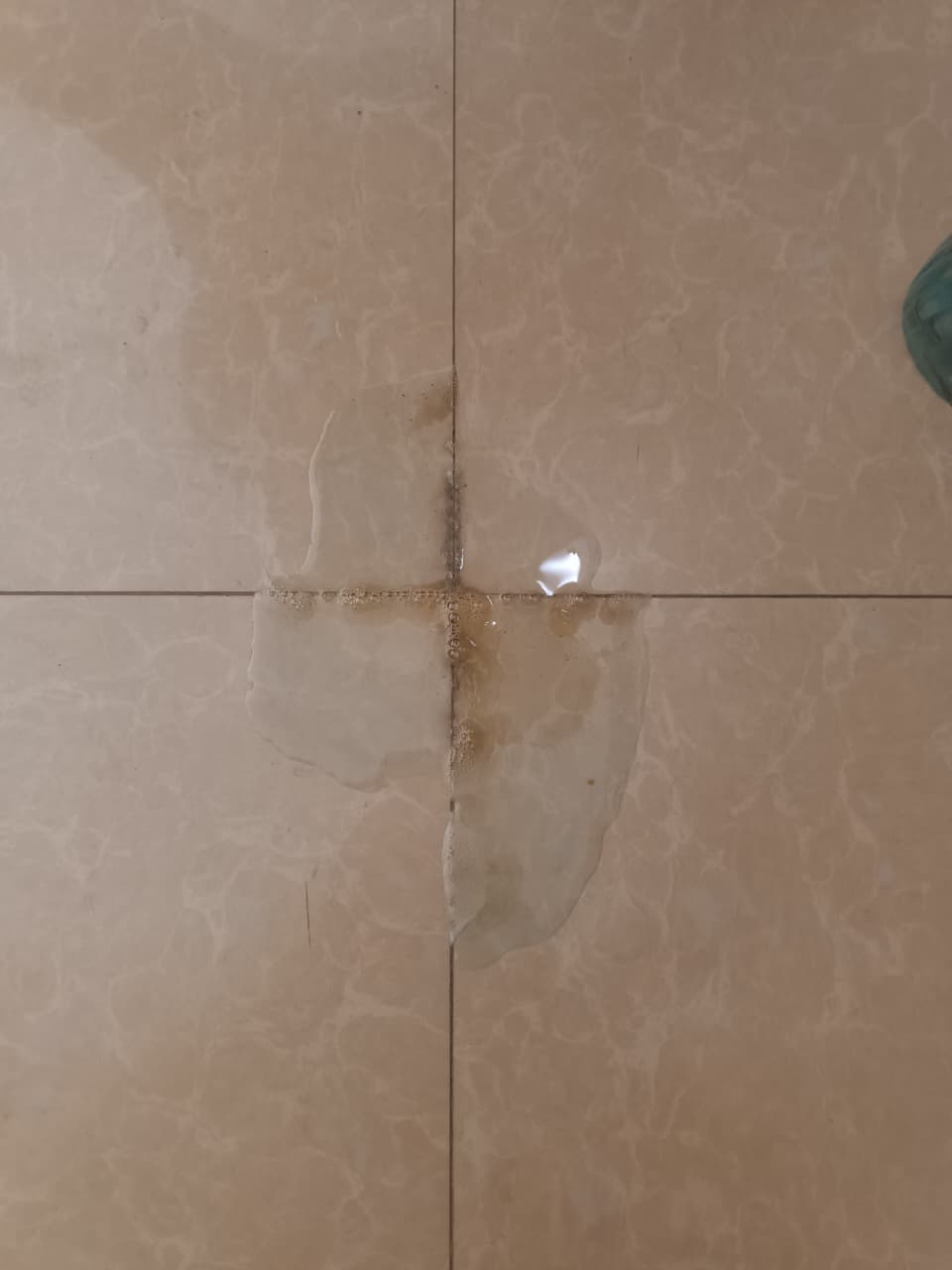 Limpiador de Cerámica - Limpieza post-obra